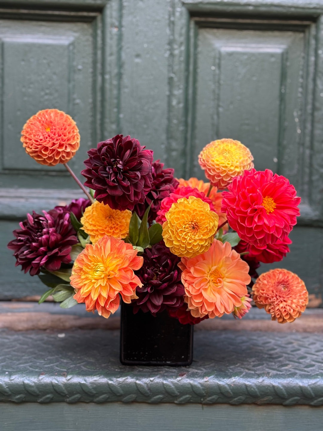 Seasonal Fall Dahlias