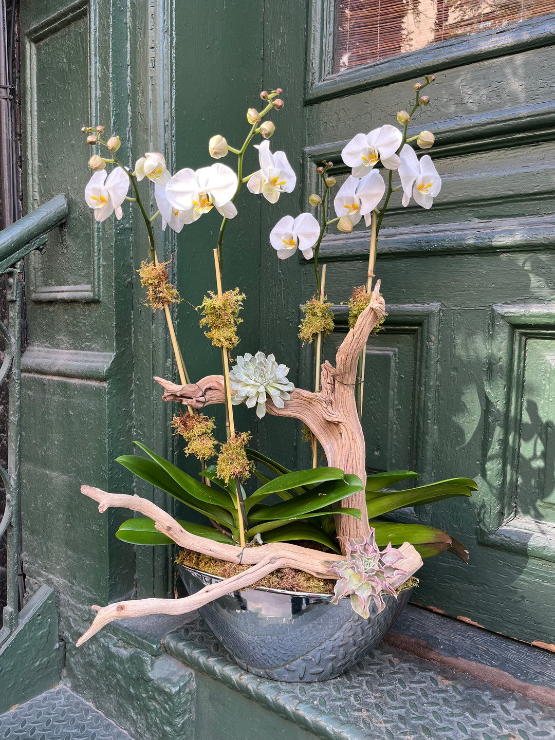 Hamptons Driftwood Orchids