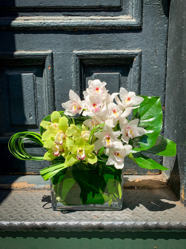 Fresh and long lasting cymbidium designed in a modern vase with tropical leaf accents.
