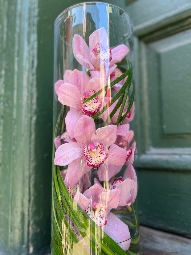 Tall Cymbidium Orchid encased in a tall cylinder with dramatic and modern Lilly grass