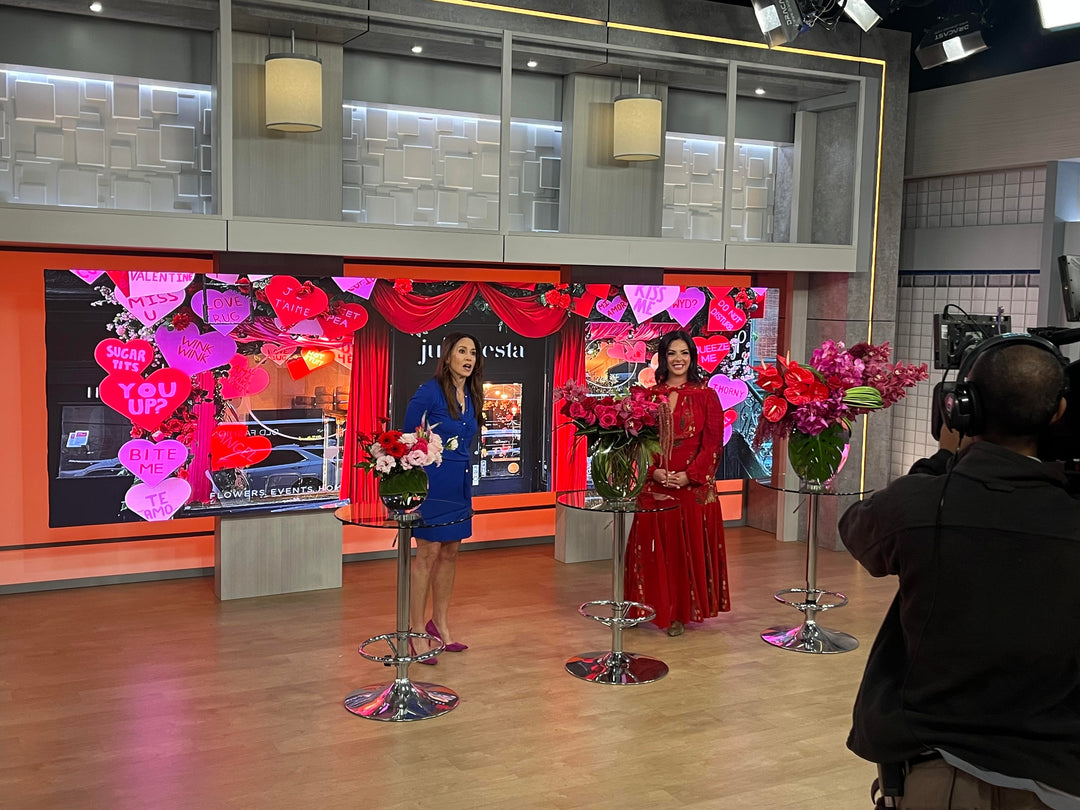 Julia Testa Featured on PIX11