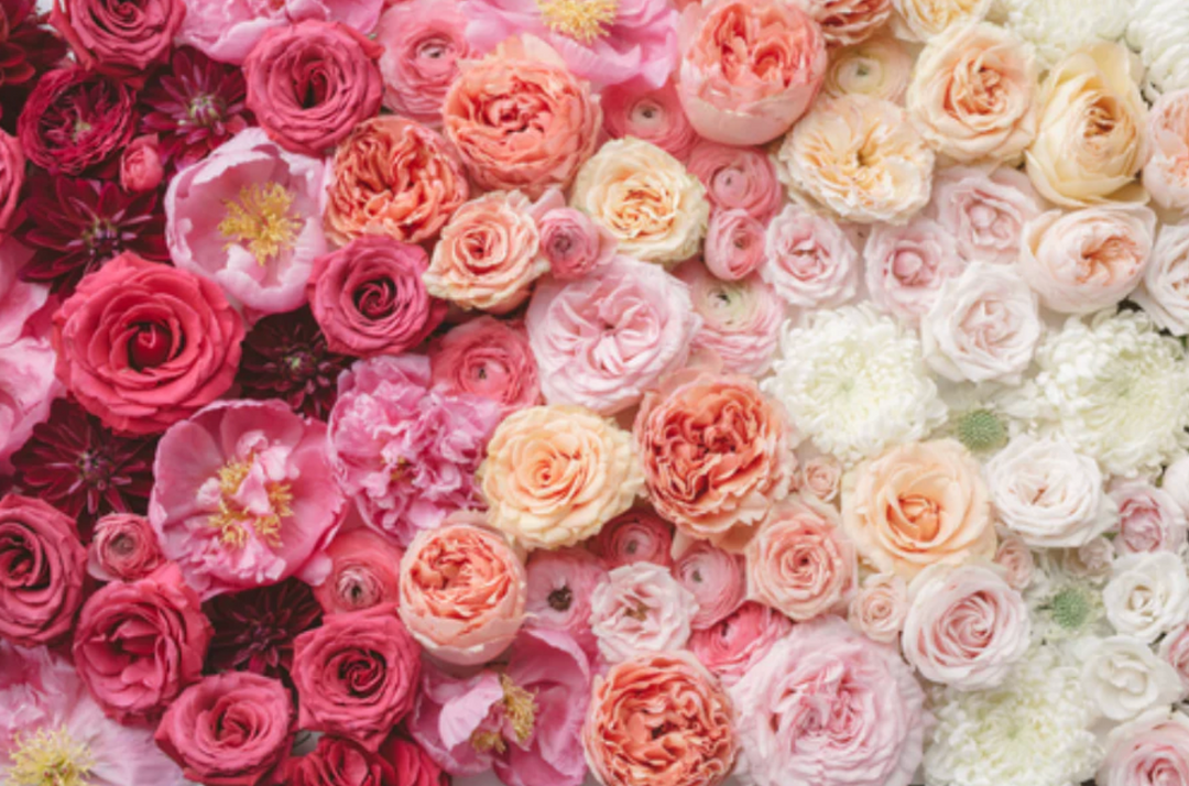 Why We Love Designer’s Choice for Valentine’s Day