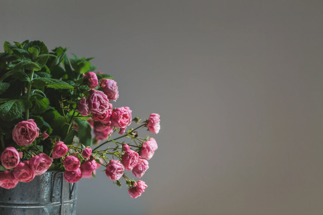 Best Gifts to Accompany Your Valentine’s Day Bouquets This Year