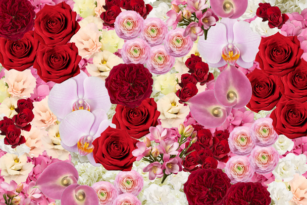 Valentine's Day Mixed Luxury Flowers - Designer's Choice