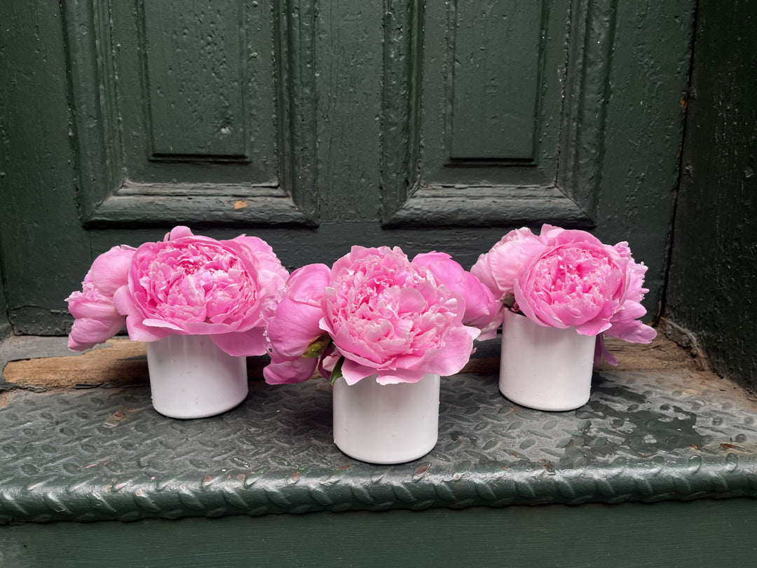 Three-Piece Peony