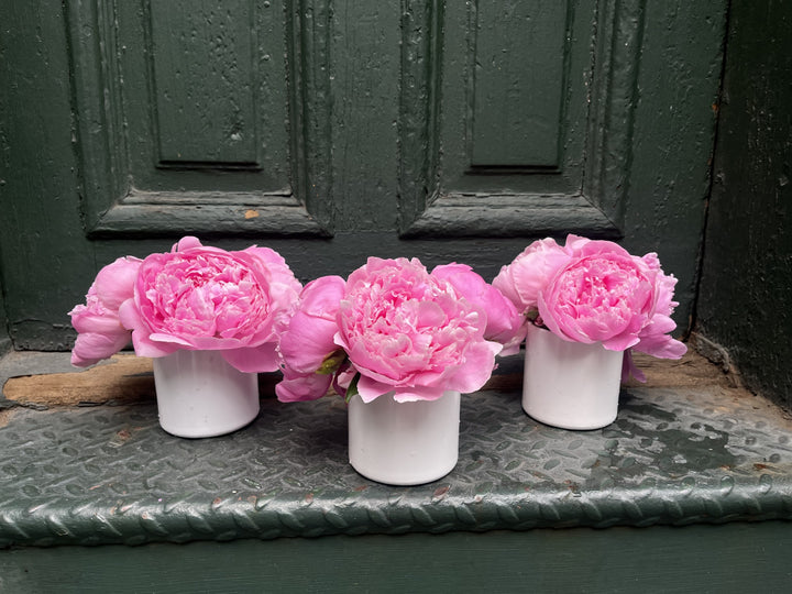 Three-Piece Peony