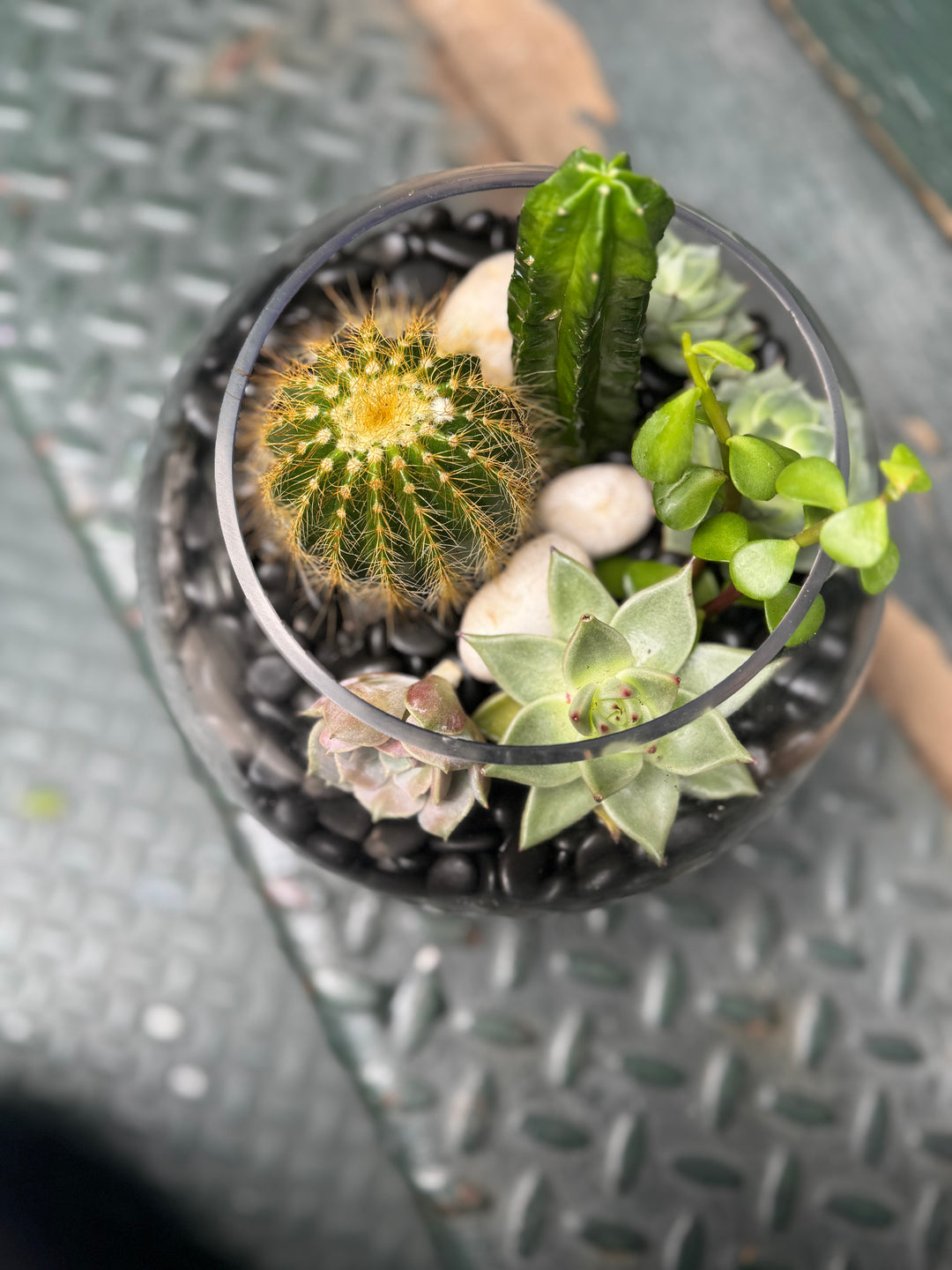 Desert Bloom