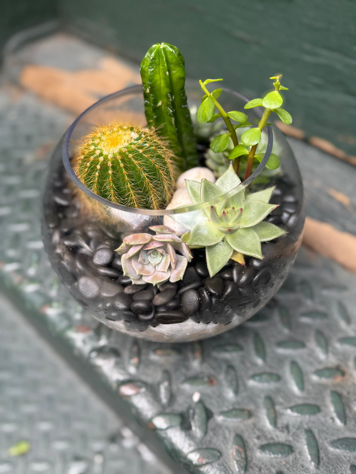 Desert Bloom