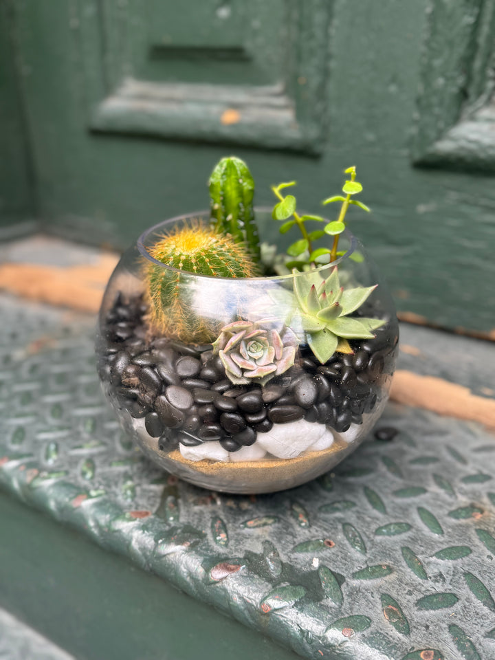 Desert Bloom