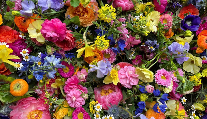 Garden Style Designer's Choice