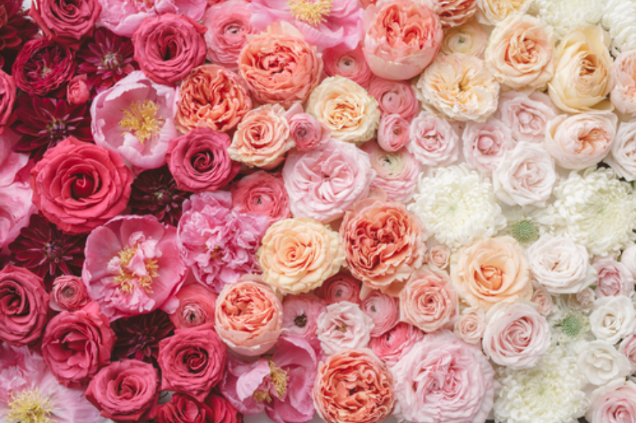 Valentine's Day Mixed Luxury Flowers - Designer's Choice