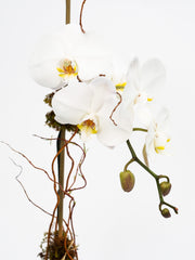 Phalaenopsis Orchids in a clear glass vase with green moss, river rocks, and bamboo