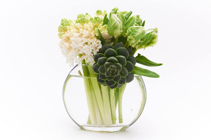 Mint Green Parrot Tulips with a medium Succulent attached to the front of the vase.