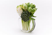 Mint Green Parrot Tulips with a medium Succulent attached to the front of the vase