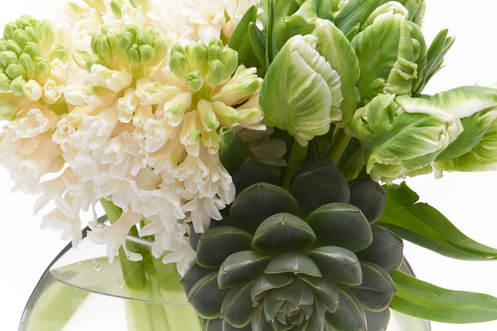 Mint Green Parrot Tulips with a medium Succulent attached to the front of the vase