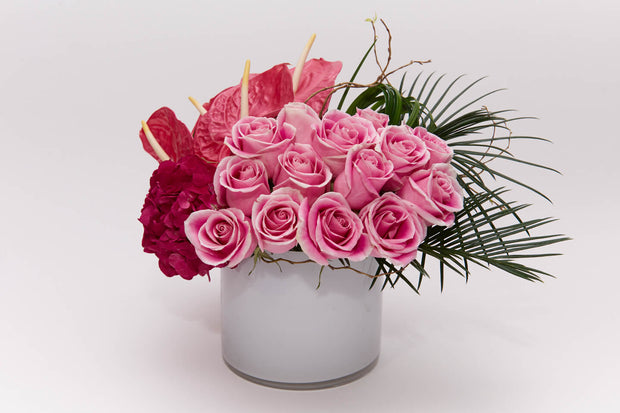 dozen Bubble gum roses, pink hydrangea and cotton candy anthurium designed in a white glass cylinder