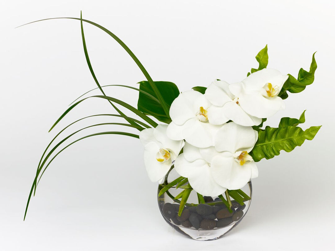 White orchids with accented greens in a clear oval vase