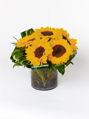 Bright sunflowers arranged with aspeditra loops and lemon leaf for a modern flair.