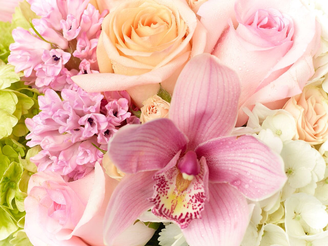 Peach Roses, pink Roses, peach spray Roses, white and green Hydrangea, and pink Cymbidium Orchids