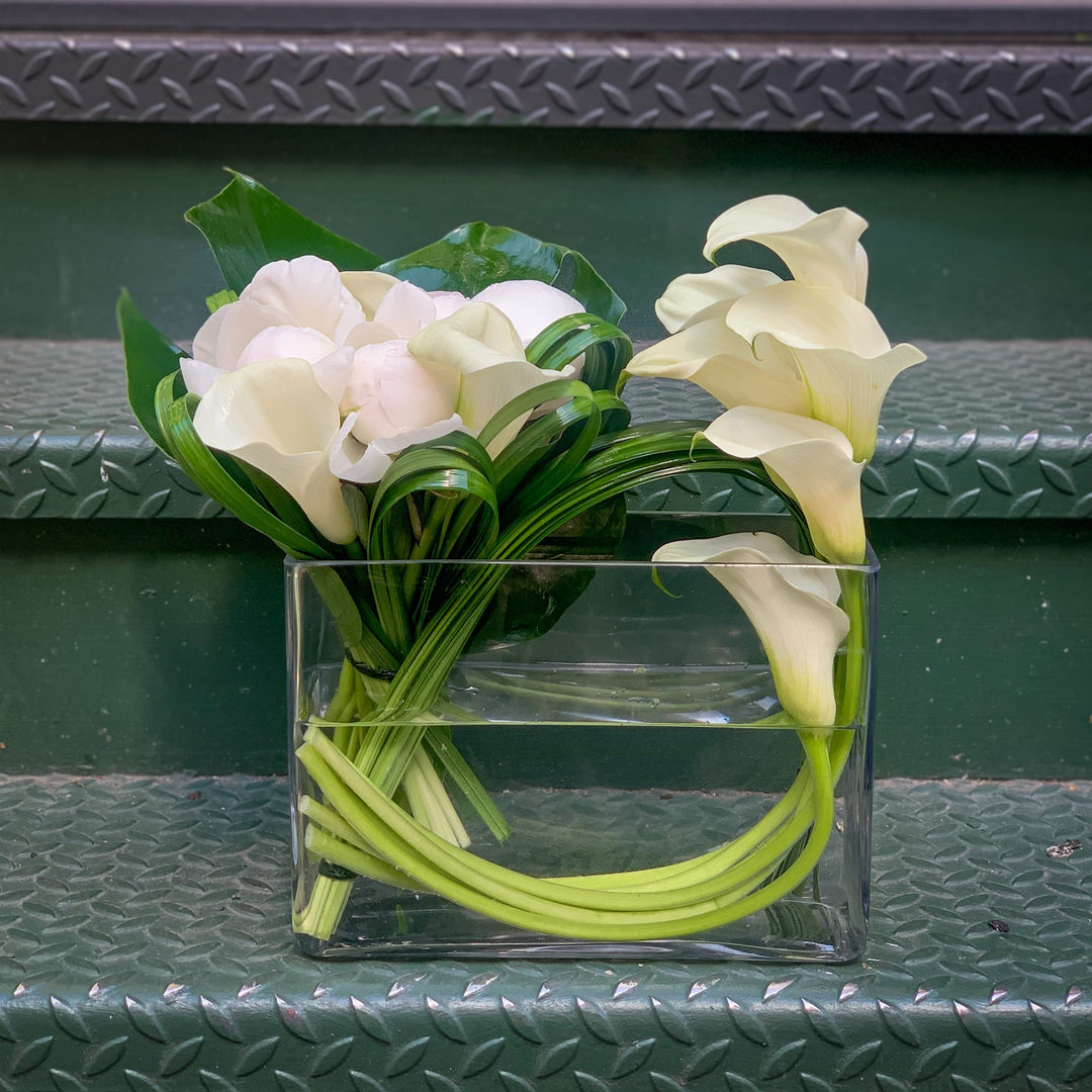 calla lilly in vase