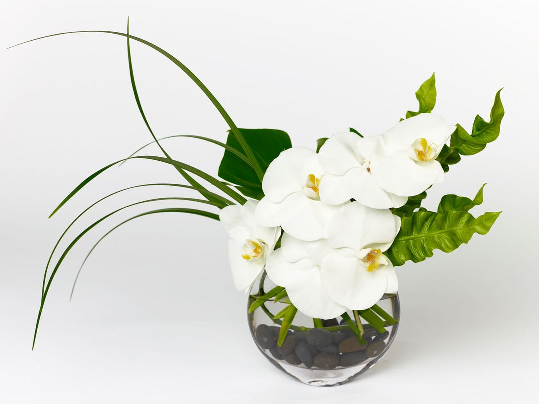 White orchids with accented greens in a clear oval vase