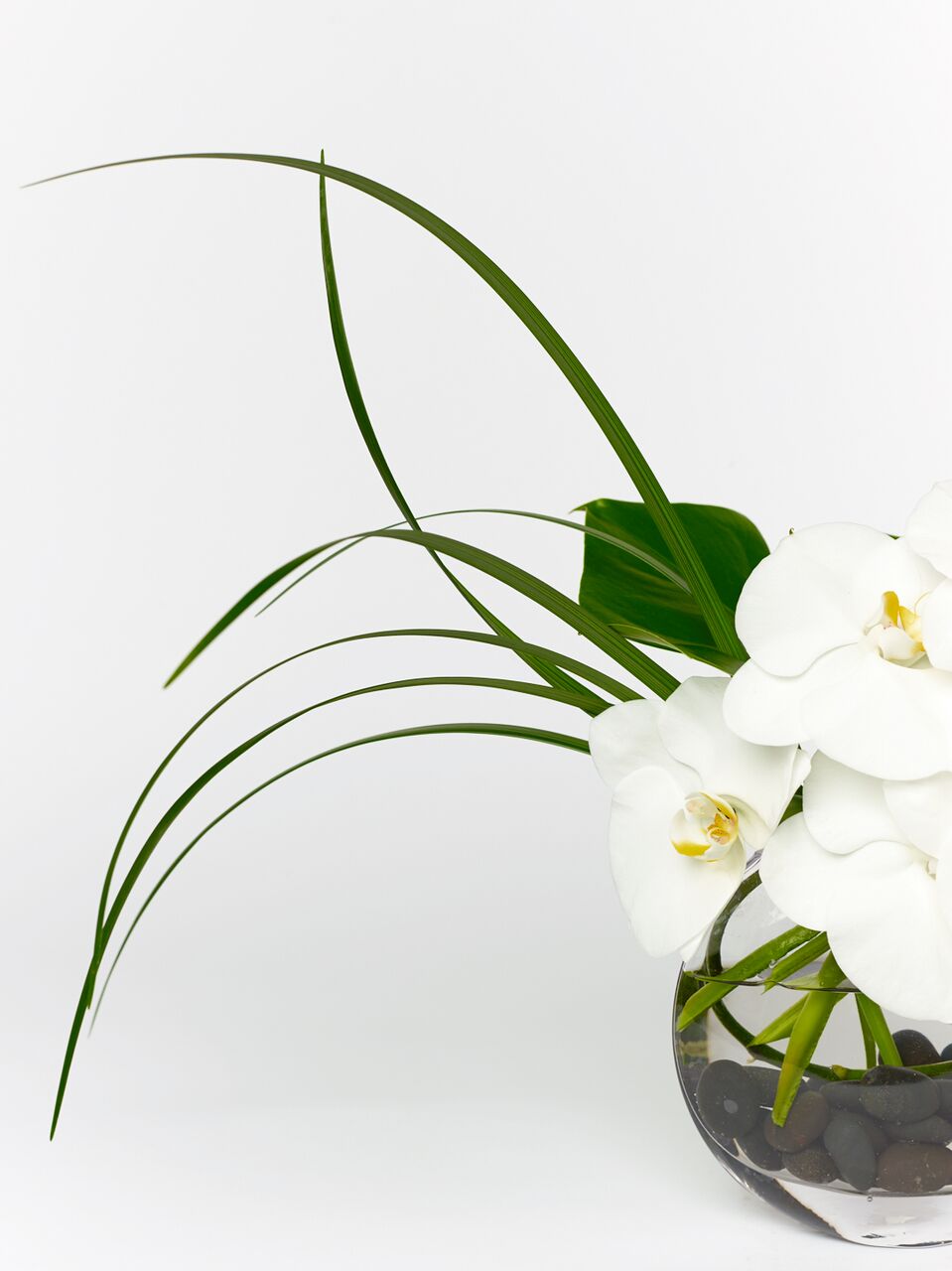 White orchids with accented greens in a clear oval vase