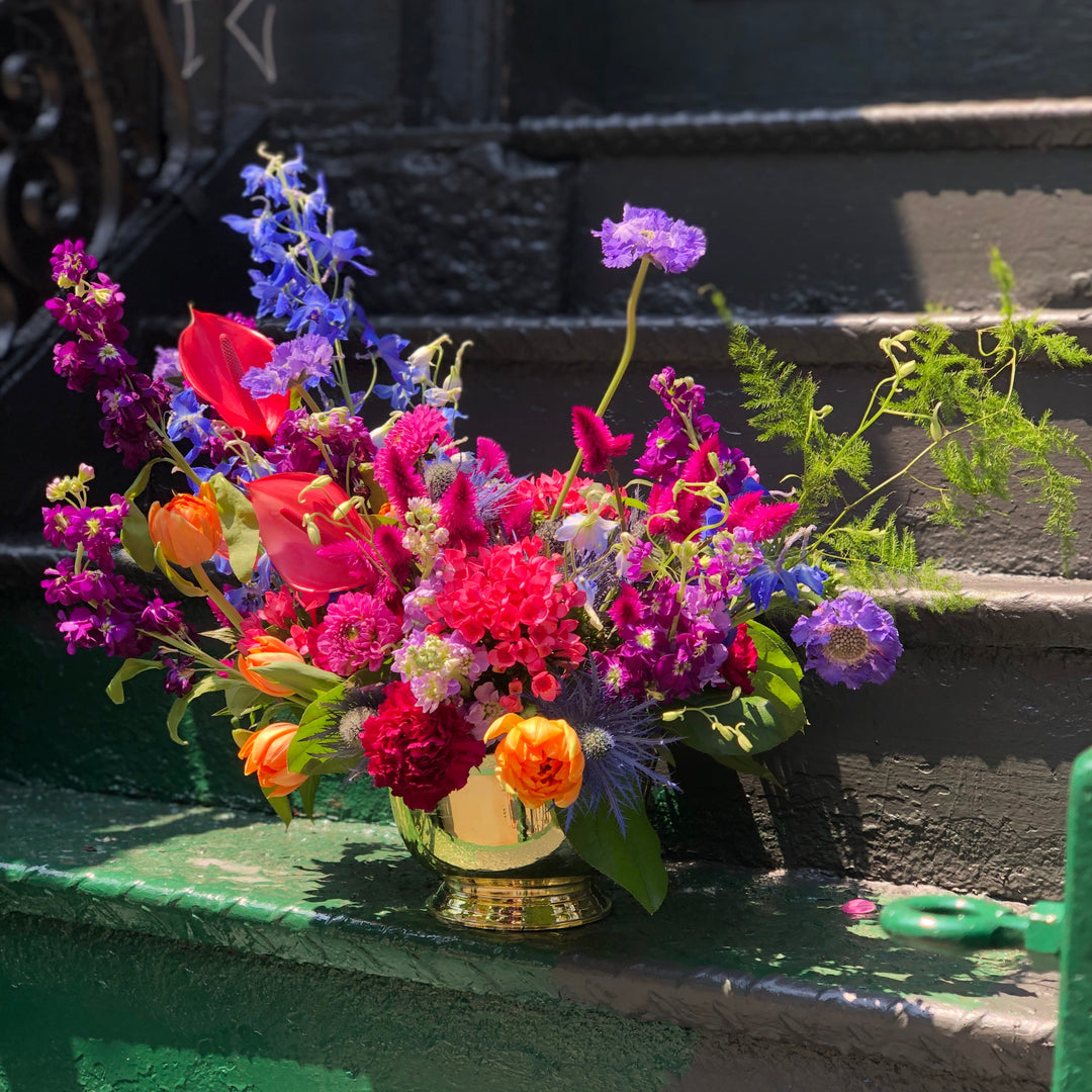 rainbow garden flowers