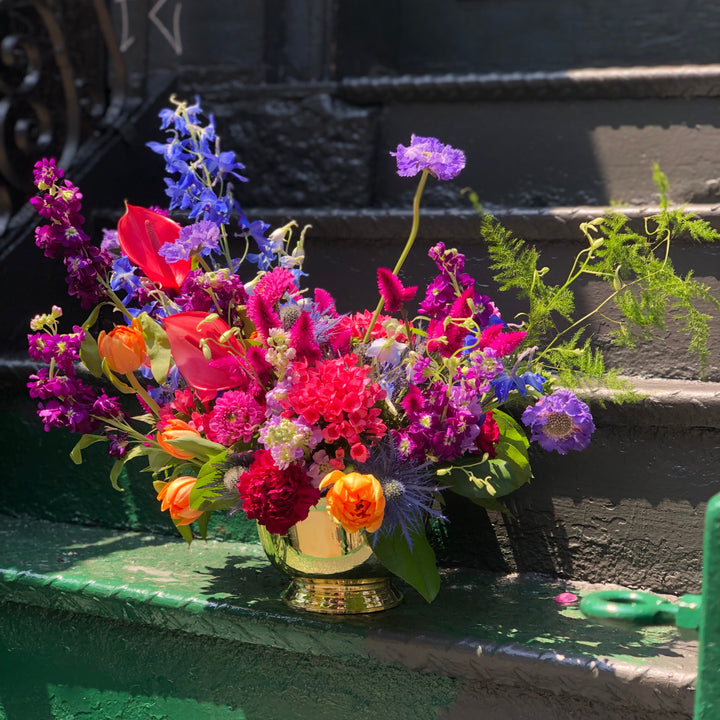 rainbow garden flowers