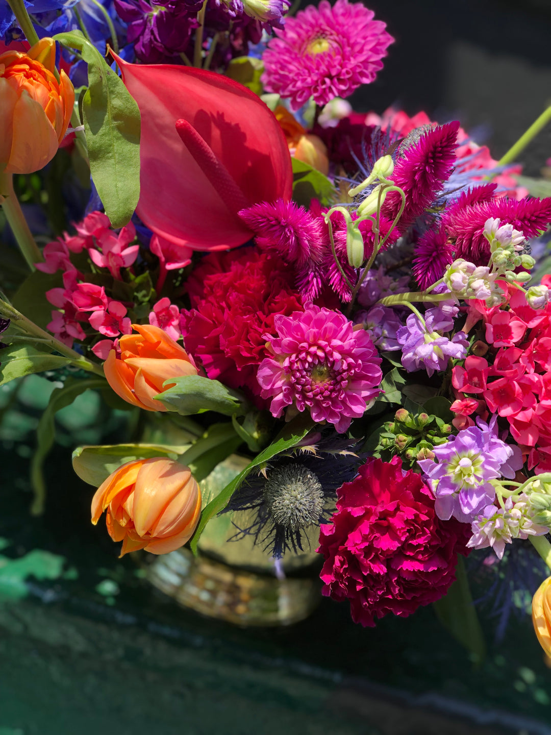 rainbow garden flowers