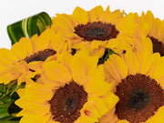 Bright sunflowers arranged with aspeditra loops and lemon leaf for a modern flair.
