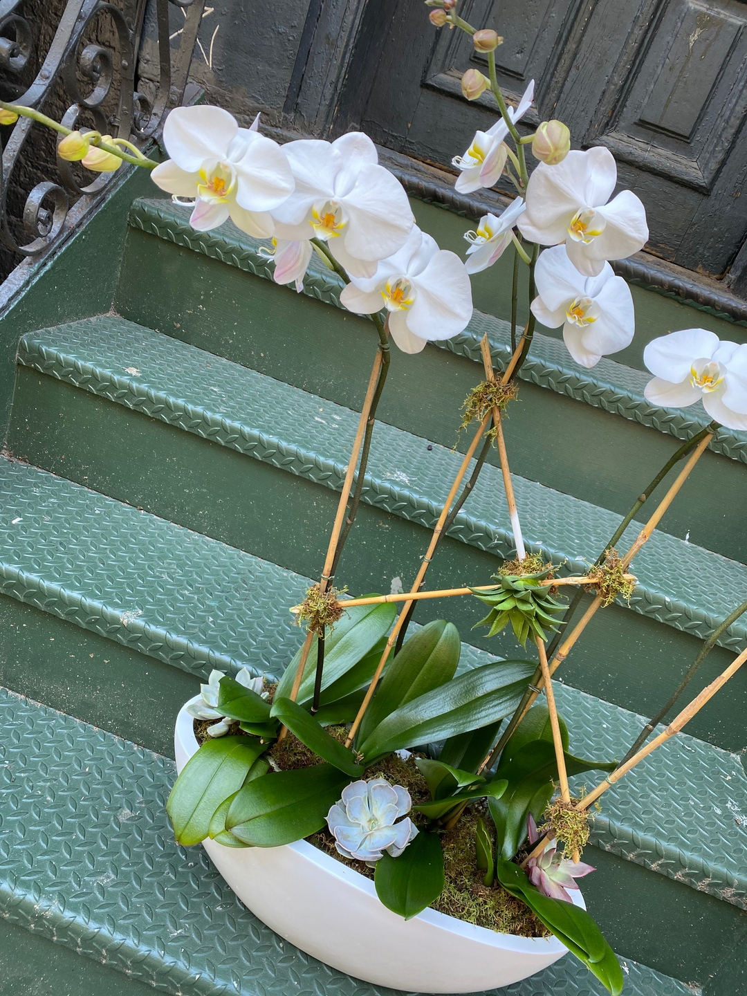 four stemmed white orchid planter