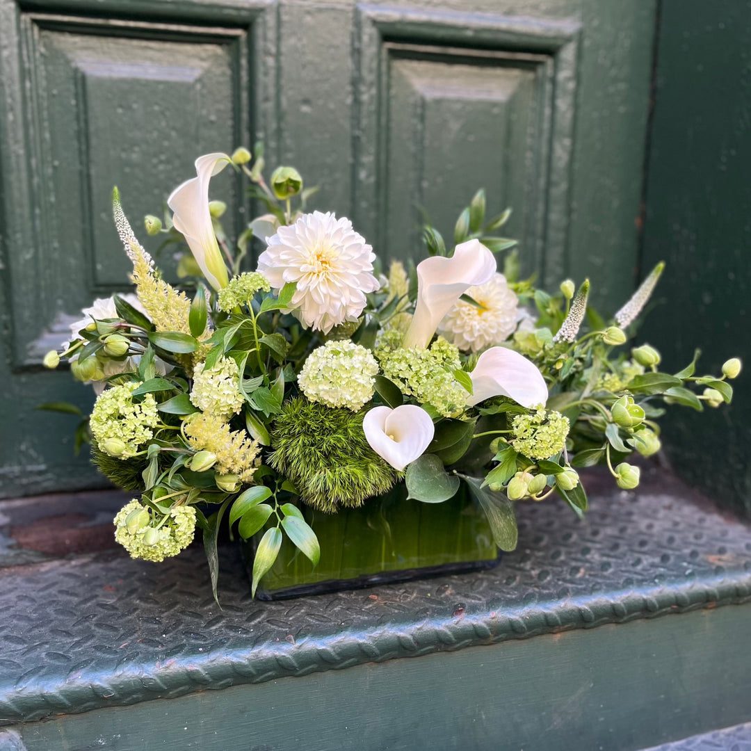 mix of white and green garden flower