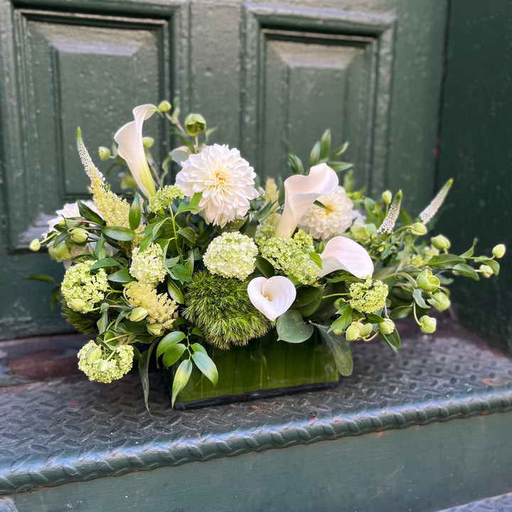 mix of white and green garden flower