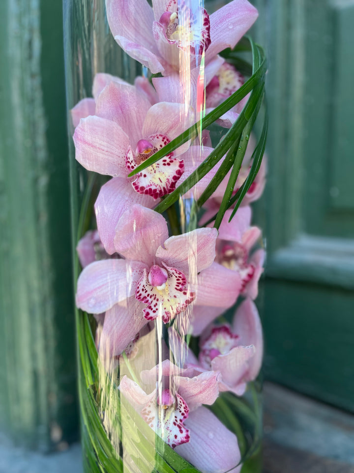Tall Cymbidium Orchid encased in a tall cylinder with dramatic and modern Lilly grass