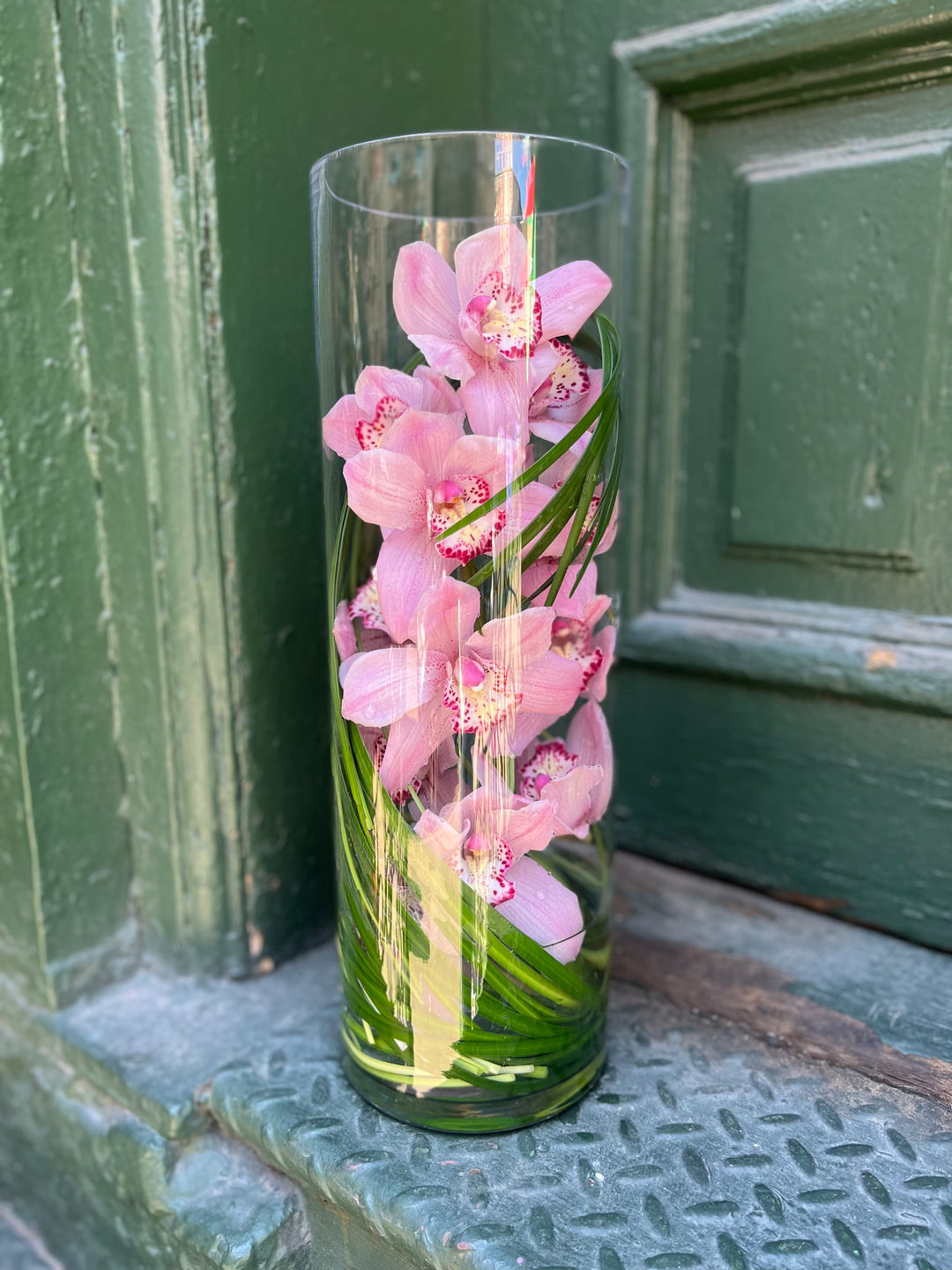 Tall Cymbidium Orchid encased in a tall cylinder with dramatic and modern Lilly grass