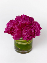 Gorgeous peonies arranged in a clear glass vase.