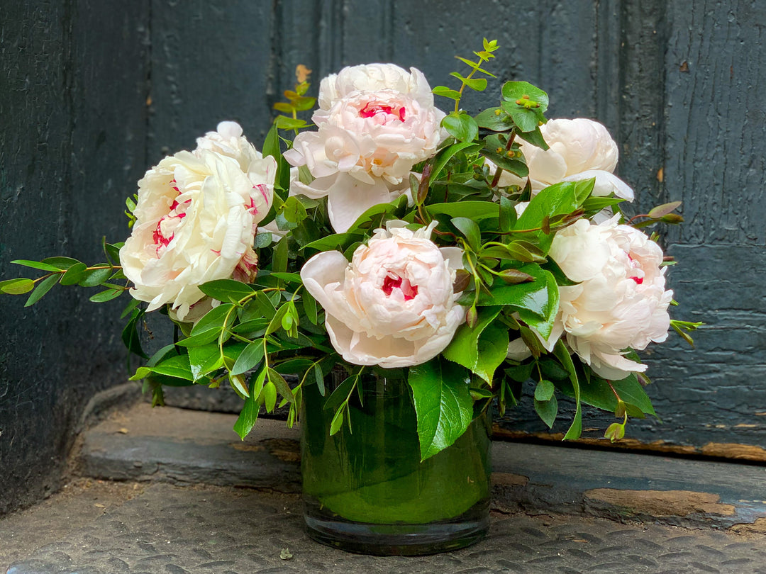 Simply Peony