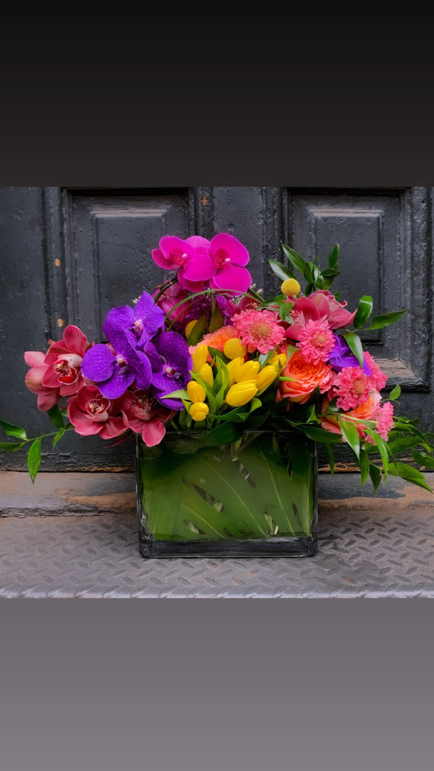 Color Crush